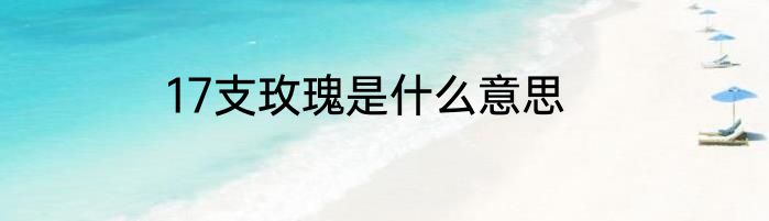 17支玫瑰是什么意思