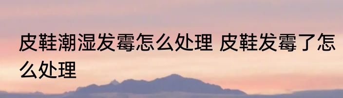 皮鞋潮湿发霉怎么处理 皮鞋发霉了怎么处理