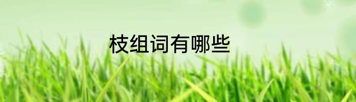 枝组词有哪些