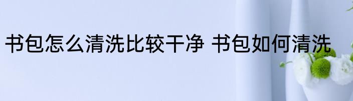 书包怎么清洗比较干净 书包如何清洗
