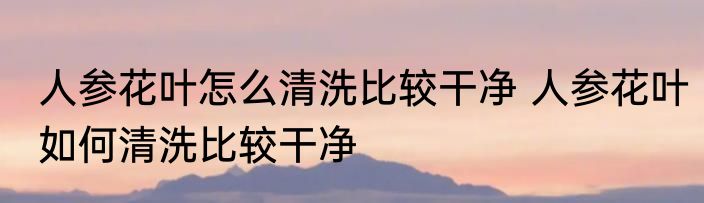 人参花叶怎么清洗比较干净 人参花叶如何清洗比较干净