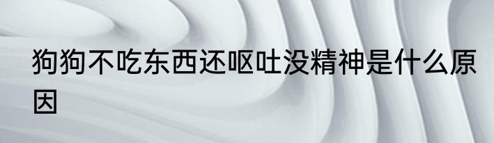 狗狗不吃东西还呕吐没精神是什么原因