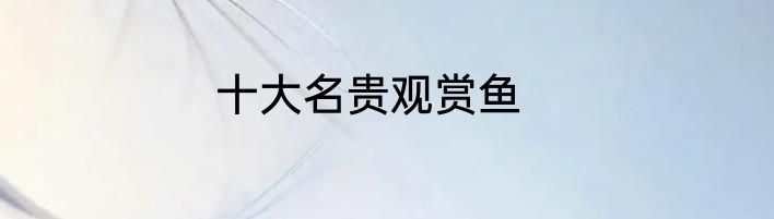 十大名贵观赏鱼