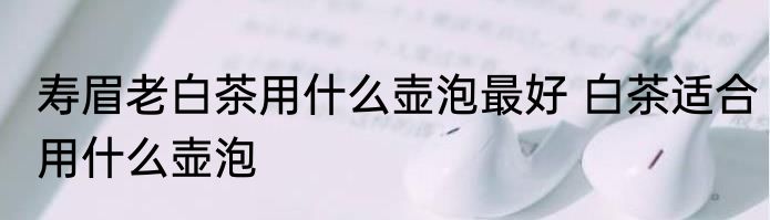 寿眉老白茶用什么壶泡最好 白茶适合用什么壶泡