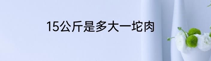 15公斤是多大一坨肉