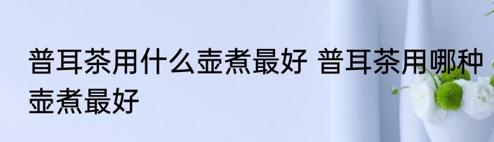 普耳茶用什么壶煮最好 普耳茶用哪种壶煮最好