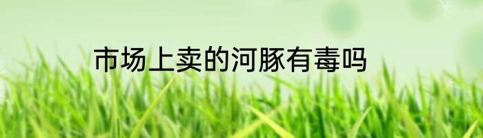 市场上卖的河豚有毒吗