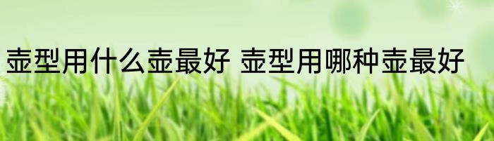 壶型用什么壶最好 壶型用哪种壶最好