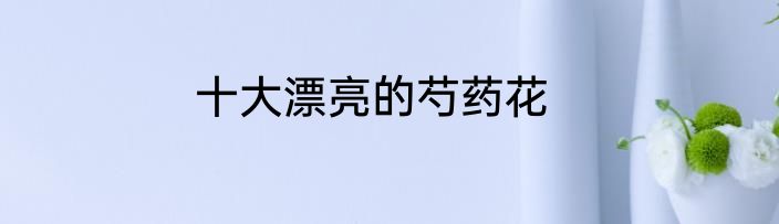 十大漂亮的芍药花