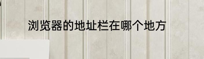 浏览器的地址栏在哪个地方