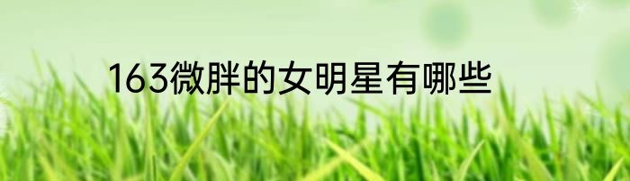 163微胖的女明星有哪些