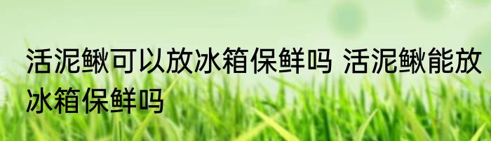 活泥鳅可以放冰箱保鲜吗 活泥鳅能放冰箱保鲜吗