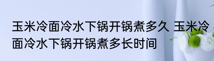 玉米冷面冷水下锅开锅煮多久 玉米冷面冷水下锅开锅煮多长时间