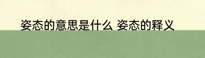 姿态的意思是什么 姿态的释义