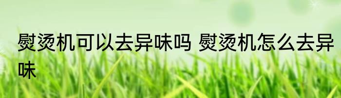 熨烫机可以去异味吗 熨烫机怎么去异味