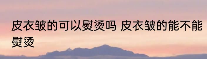 皮衣皱的可以熨烫吗 皮衣皱的能不能熨烫