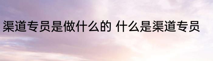 渠道专员是做什么的 什么是渠道专员