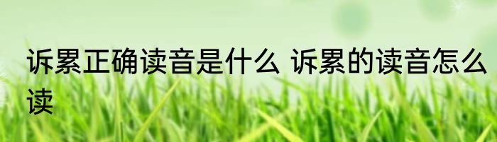 诉累正确读音是什么 诉累的读音怎么读