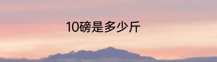 10磅是多少斤