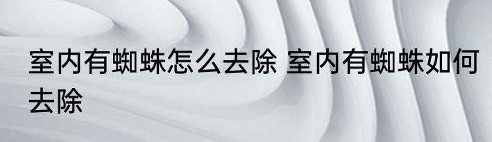 室内有蜘蛛怎么去除 室内有蜘蛛如何去除