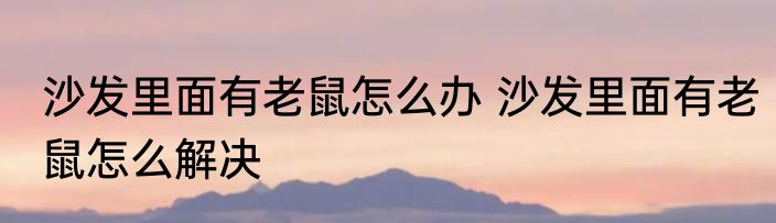 沙发里面有老鼠怎么办 沙发里面有老鼠怎么解决