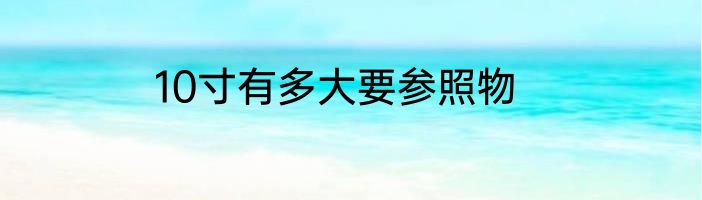 10寸有多大要参照物