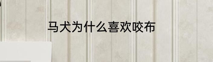 马犬为什么喜欢咬布