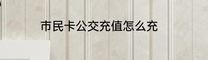 市民卡公交充值怎么充