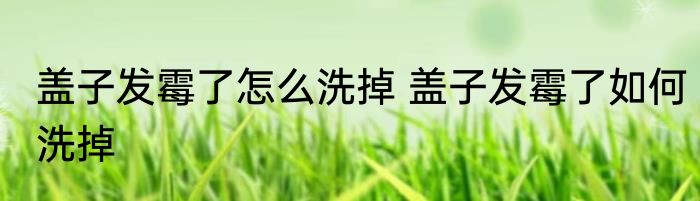 盖子发霉了怎么洗掉 盖子发霉了如何洗掉