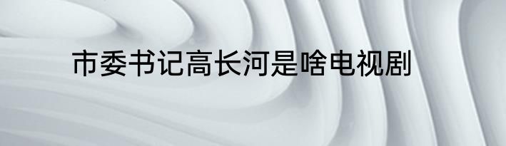 市委书记高长河是啥电视剧