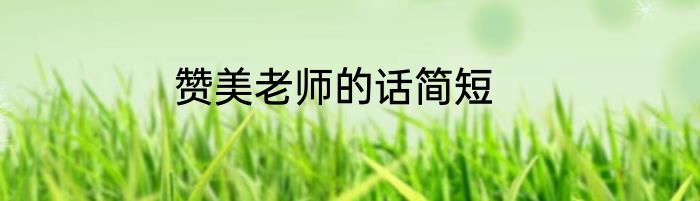 赞美老师的话简短