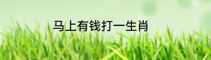 马上有钱打一生肖