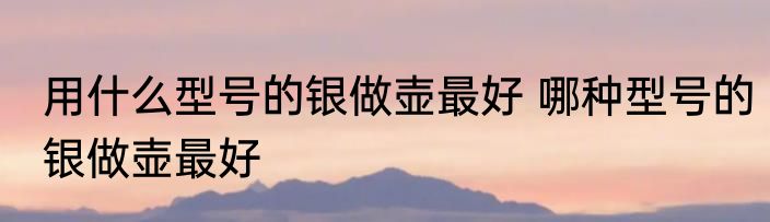 用什么型号的银做壶最好 哪种型号的银做壶最好