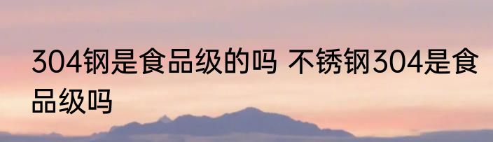 304钢是食品级的吗 不锈钢304是食品级吗