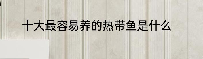 十大最容易养的热带鱼是什么