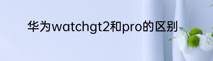 华为watchgt2和pro的区别