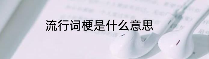 流行词梗是什么意思