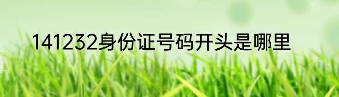 141232身份证号码开头是哪里