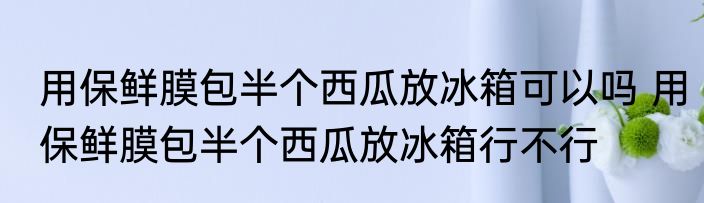 用保鲜膜包半个西瓜放冰箱可以吗 用保鲜膜包半个西瓜放冰箱行不行
