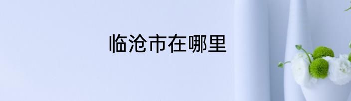 临沧市在哪里