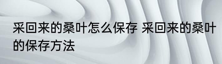 采回来的桑叶怎么保存 采回来的桑叶的保存方法