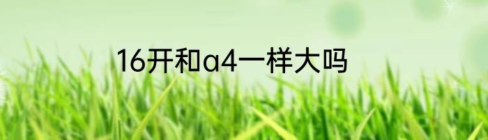 16开和a4一样大吗