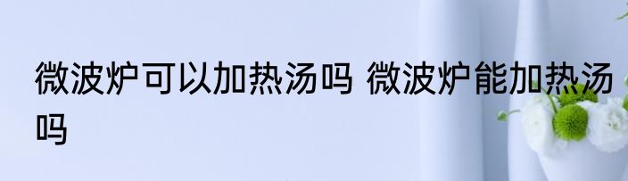 微波炉可以加热汤吗 微波炉能加热汤吗
