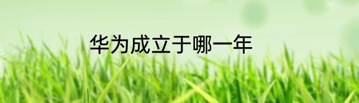 华为成立于哪一年