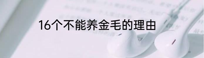 16个不能养金毛的理由