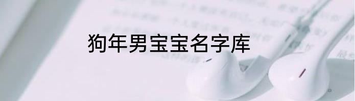 狗年男宝宝名字库
