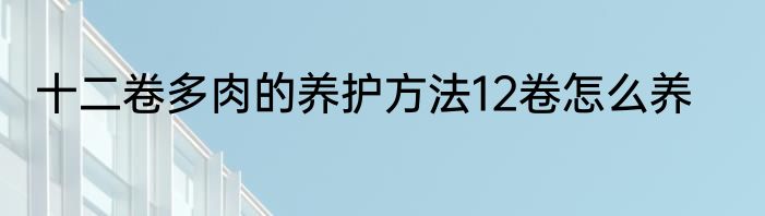 十二卷多肉的养护方法12卷怎么养