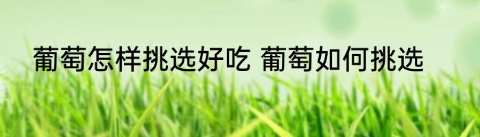 葡萄怎样挑选好吃 葡萄如何挑选