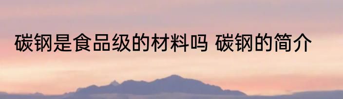 碳钢是食品级的材料吗 碳钢的简介