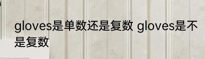 gloves是单数还是复数 gloves是不是复数